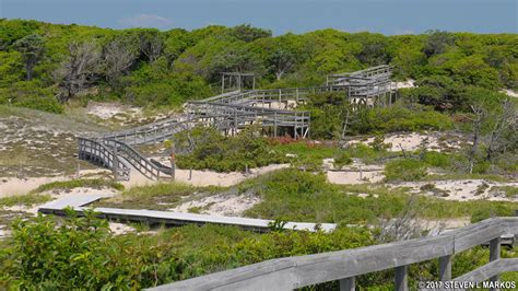 Fire Island National Seashore | SUNKEN FOREST NATURE TRAIL