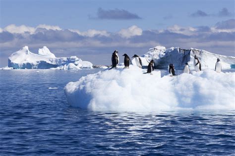 Antarctica records what may have been its hottest day ever