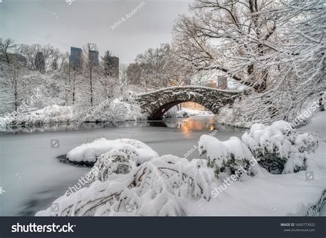 Gapstow Bridge Central Park Winter After Stock Photo 1600773922 ...