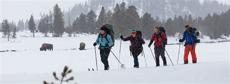 Yellowstone Weather - Yellowstone Forever