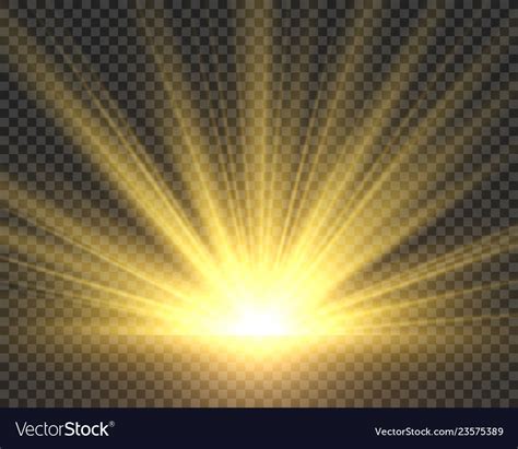 Sunlight isolated golden sun rays radiance Vector Image