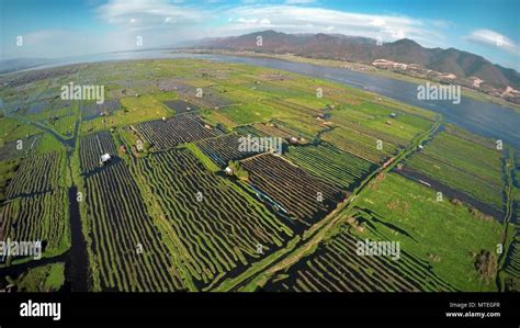 Aerial photo of floating gardens on Inle Lake Stock Photo - Alamy