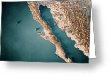 Baja California Topographic Map 3D Render Dark Ocean Neutral Digital Art by Frank Ramspott ...