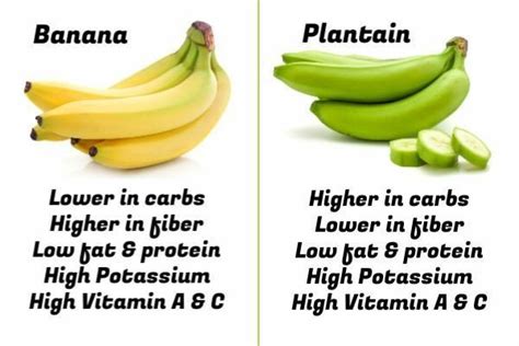 Plantain Vs Banana Taste