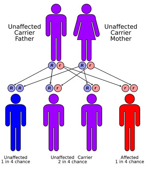 Cystic Fibrosis: A Comprehensive Overview