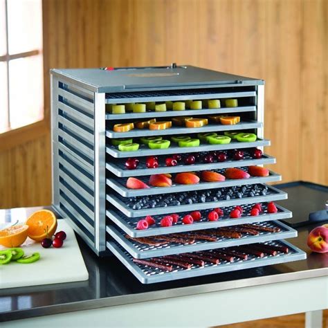 LEM 10 Tray Food Dehydrator » Petagadget