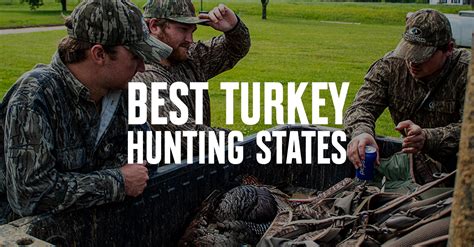 Turkey Hunting Guide for the Best States To Hunt Each Subspecies