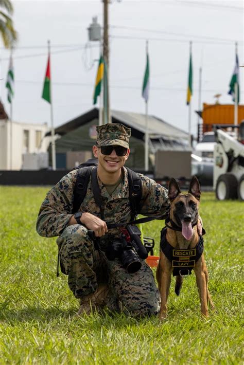 Photos - Pictures of Dogs in the Military & Police (K9) | Page 49 | A Military Photos & Video ...