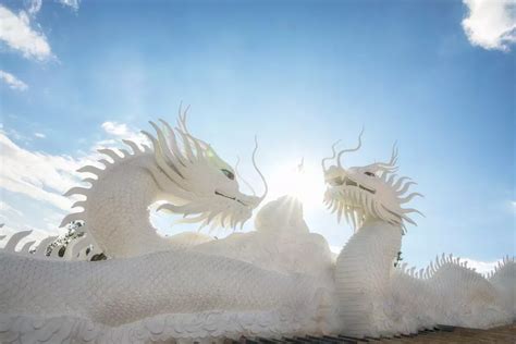 All Of The Chinese Dragon Names From Mythology To Inspire You | Chinese dragon, Dragon names ...