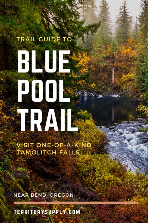 Trail Guide: Blue Pool Trail / Tamolitch Falls | Blue pool, Oregon ...