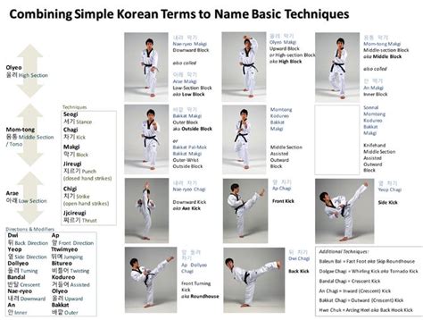 Taekwondo Vocabulary | Taekwondo techniques, Taekwondo, Taekwondo forms