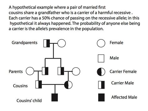 The Genetics of Cousin Marriage - JSTOR Daily