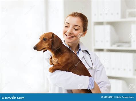 Happy Doctor with Dog at Vet Clinic Stock Image - Image of breed ...