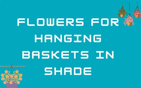 10 Flowers for Hanging Baskets in Shade - Flowers Name Info