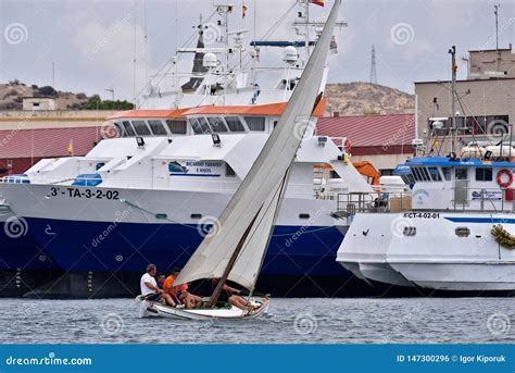 Lateen rig sailing. editorial photo. Image of boat, participating ...