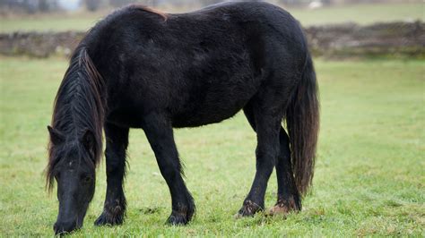 Slideshow: The Yorkshire Dales | All Creatures Great and Small