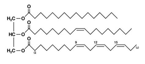 14.2: Lipids and Triglycerides - Chemistry LibreTexts