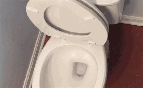 Skibidi Toilet Dj Skibidi Gif Skibidi Toilet Dj Skibidi Dj Skibidi – Correct Tips