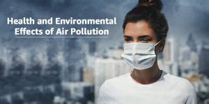 The Deadly Effect of Air Pollution on Environment and Health