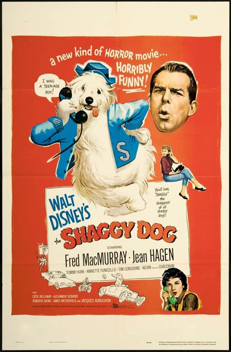 Film Review: The Shaggy Dog (1959) - ReelRundown