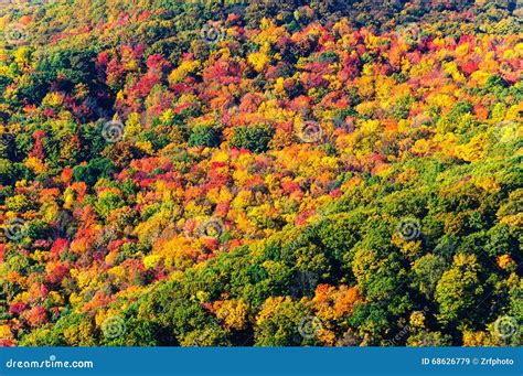 Allegheny National Forest stock image. Image of mountain - 68626779