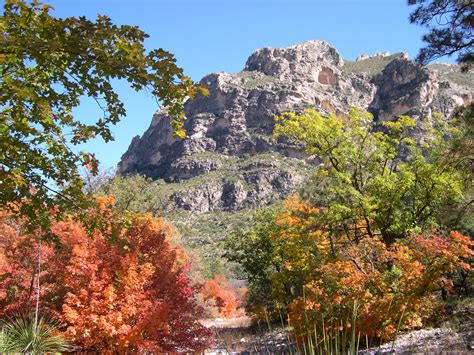 Texas Mountain Trail Daily Photo: Fall Color in Guadalupe Mountains ...