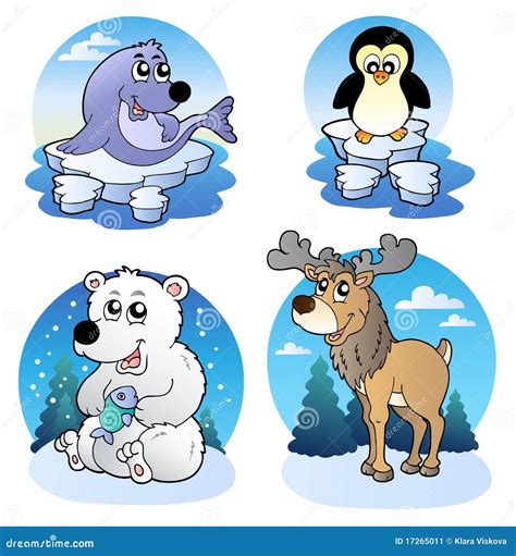 Various Cute Winter Animals Stock Image - Image: 17265011