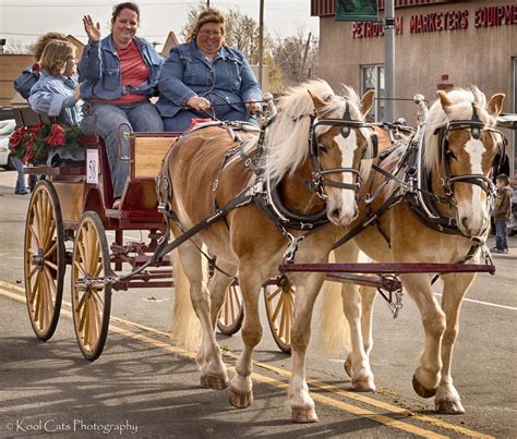 Horses Pulling Wagon Wallpapers - Wallpaper Cave