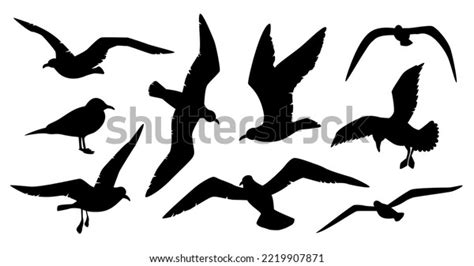 Seagull Silhouette Vector Set Many Birds Stock Vector (Royalty Free ...