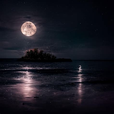 Premium Photo | The moon, sea night light, picture