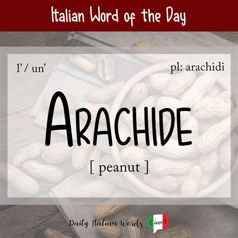 Italian Word of the Day: Arachide (peanut) - Daily Italian Words ...