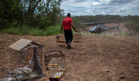 Search for survivors, despair in Brazil amid dam collapse | South China ...