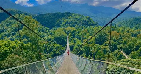 Hypeabis - Uji Nyali Jelajah Jembatan Gantung Situ Gunung, Intip Seperti Apa Keseruannya