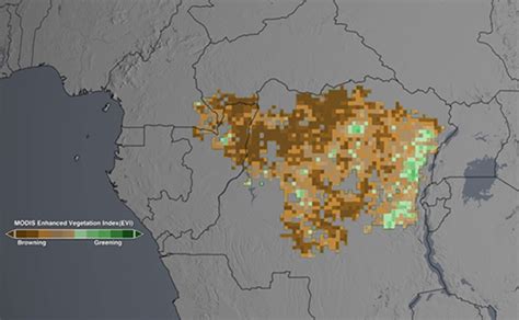 Climate Change alters Congo's rainforest