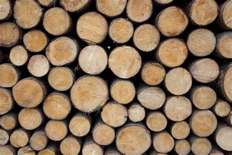 Types Of Firewood – A Simple Guide To Burning The Right Fuel