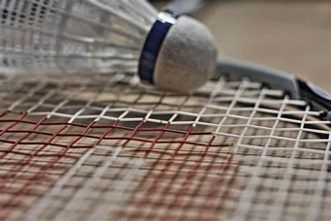 How Often Should You Replace Your Badminton Strings? - BadmintonBites