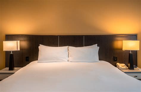 Pet Friendly Rooms | Dunedin Accommodation | Scenic Hotel