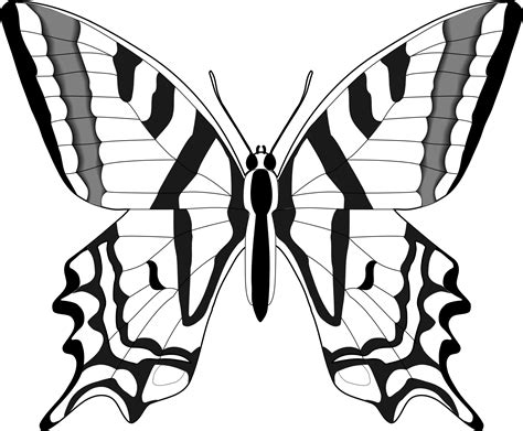 Butterfly Clipart Black And White Png : Free Simple Butterfly Black And White, Download Free ...