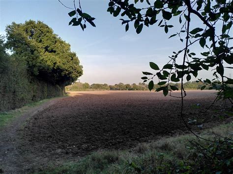 Field path from Flint's Green to Upper... © A J Paxton cc-by-sa/2.0 :: Geograph Britain and Ireland