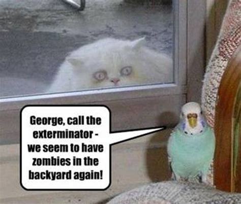 Zombies! | Funny animal pictures, Funny animals, Bones funny