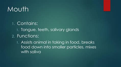 SOLUTION: Parts of a monogastric digestive system - Studypool