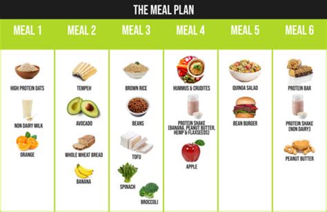 A Nutritionist’s Guide To A Vegan Bodybuilding Diet – Vivo Life USA