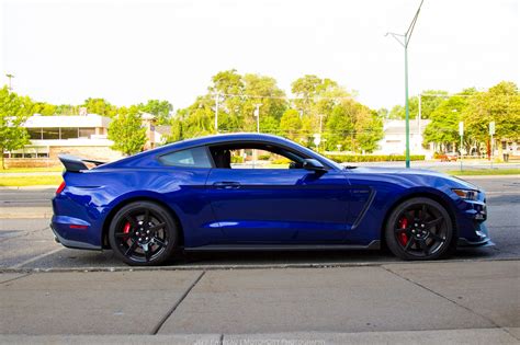 Blue Mustang Colors - The Ultimate Guide