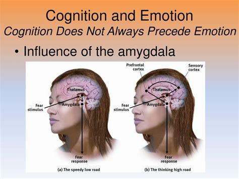 PPT - Unit 8B: Motivation and Emotion: Emotions, Stress and Health PowerPoint Presentation - ID ...