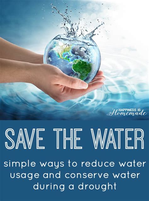 Save Water Save Life Water Facts Infographic Poster Infographic | The Best Porn Website