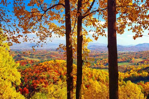 Fall Foliage Peak Periods in the Southeast