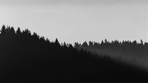 Minimalist Forest Wallpapers - Wallpaper Cave