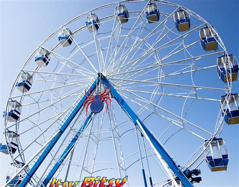 Montgomery County Agricultural Fair Opens Friday | Montgomery Community ...