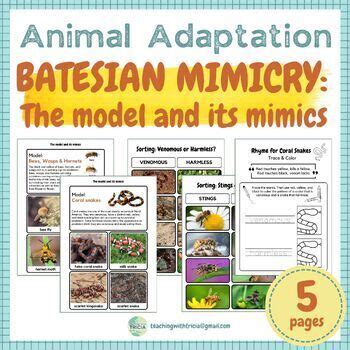 Batesian Mimicry- The Model and Its Mimics: Coral Snake & Bee Adaptation