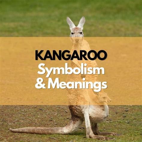 Kangaroo: Symbolism, Meanings, and History - Symbol Genie